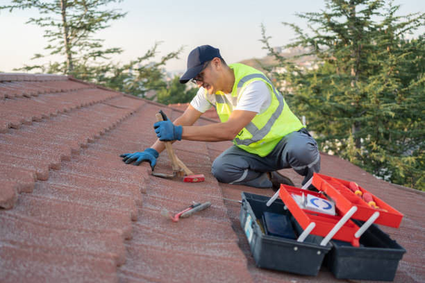 Roof Gutter Cleaning in Bartonville, IL